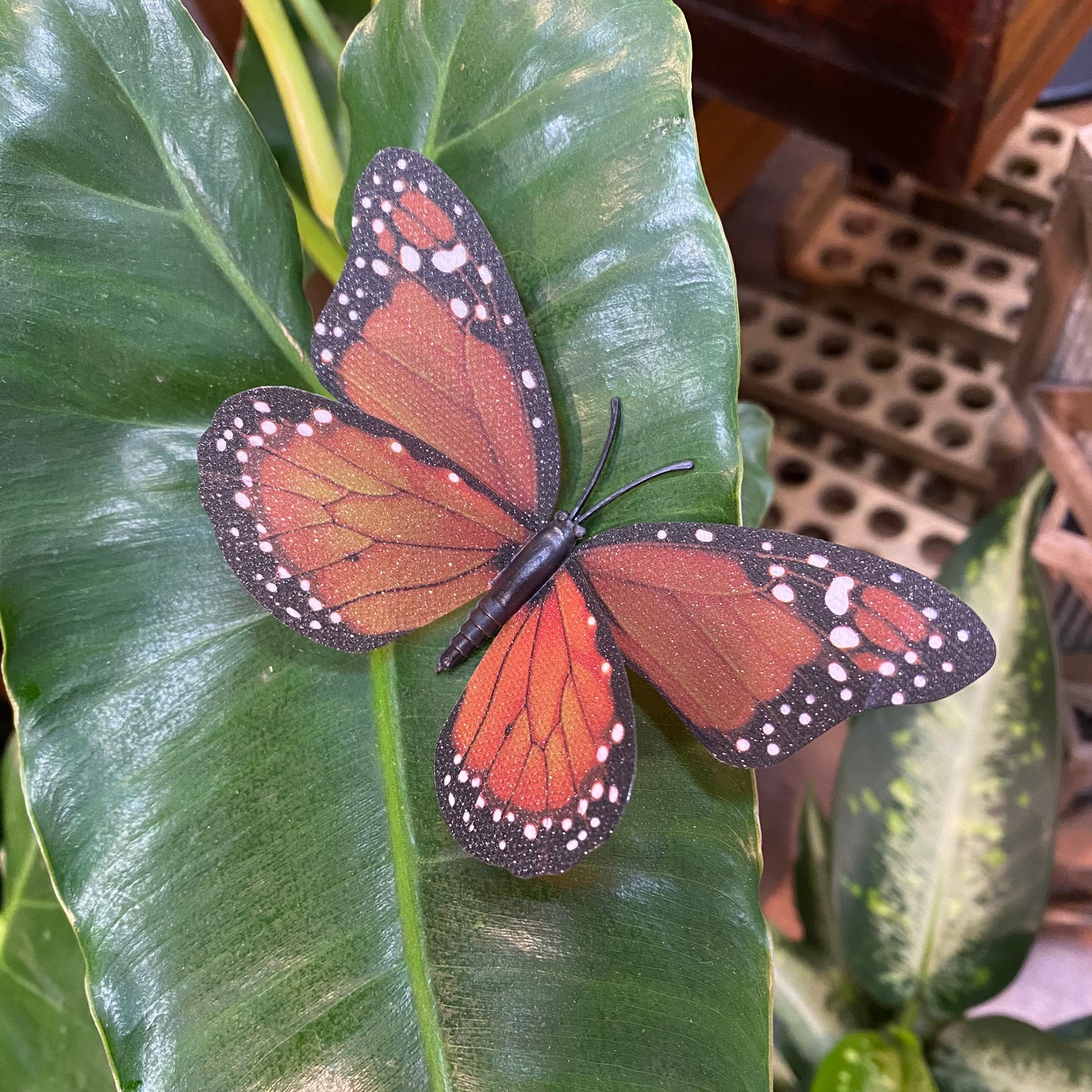 Life-Like Monarch Butterfly Plant Magnet Or Screen Magnet