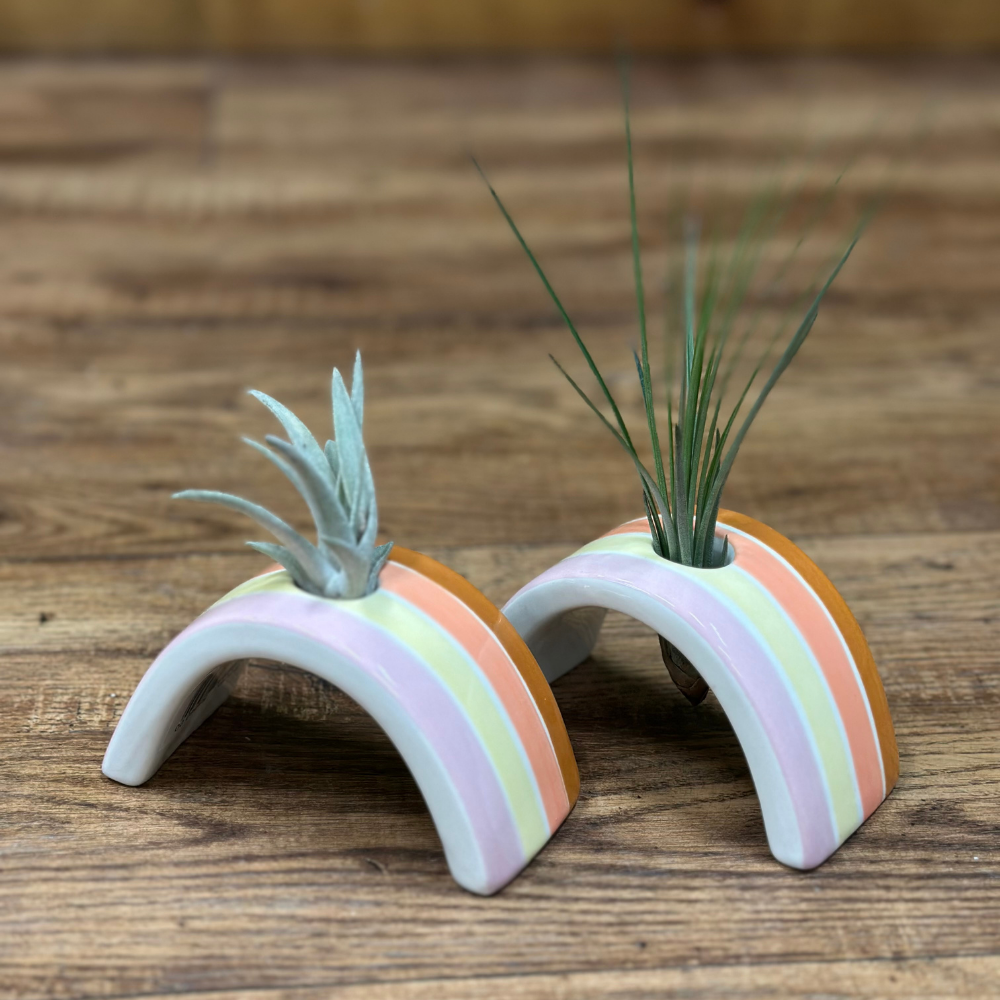 Two small planters with pastel rainbow designs on a wooden surface