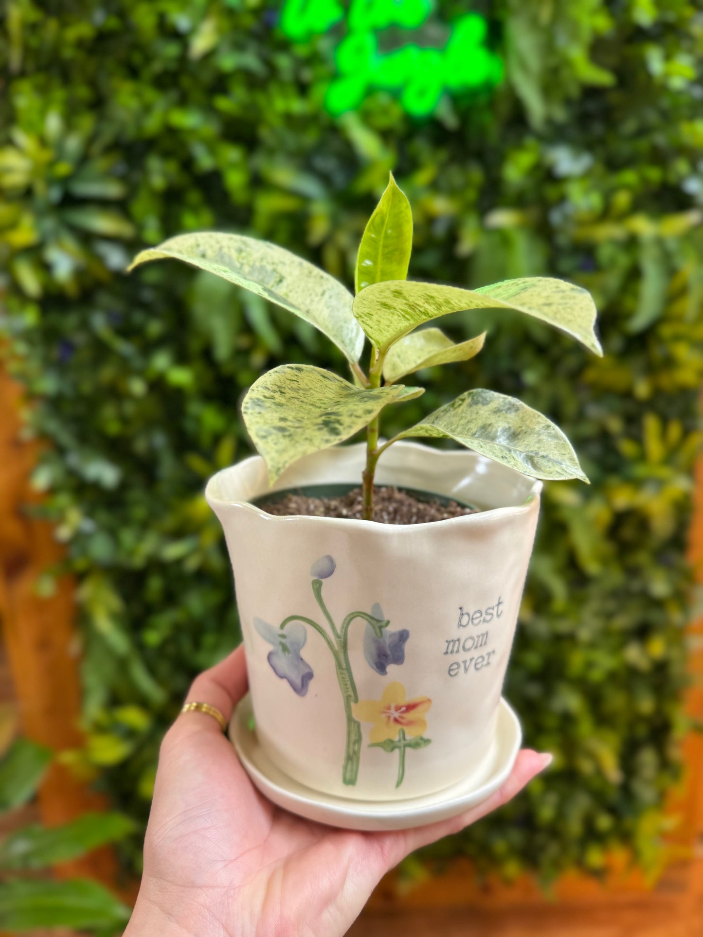 Best Mom Pot
