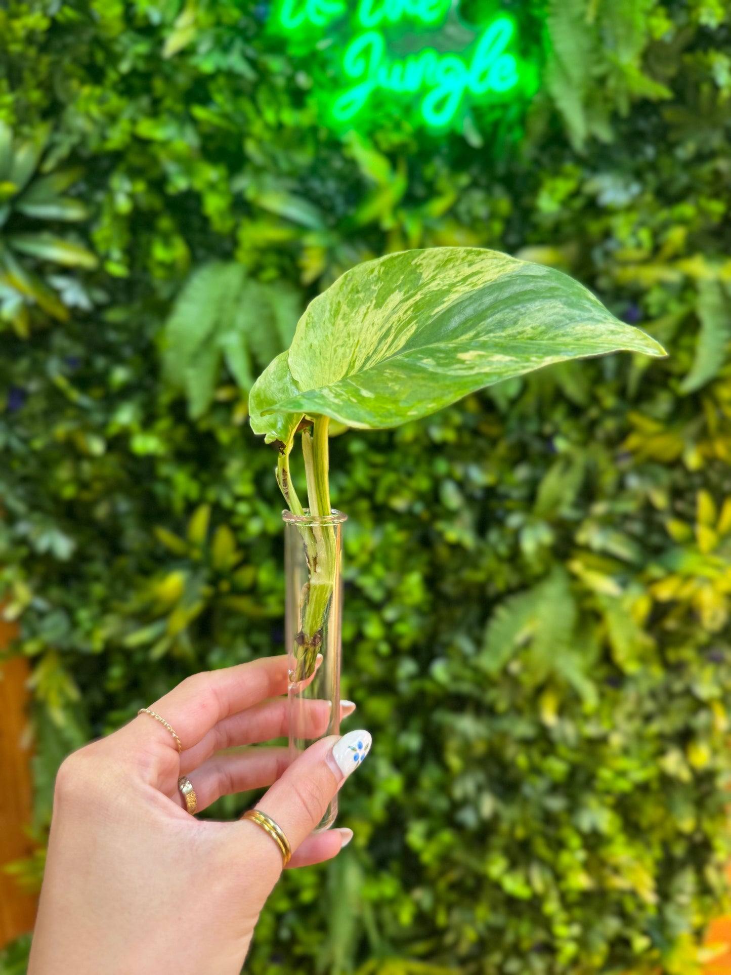 Plastic Propogation Tubes