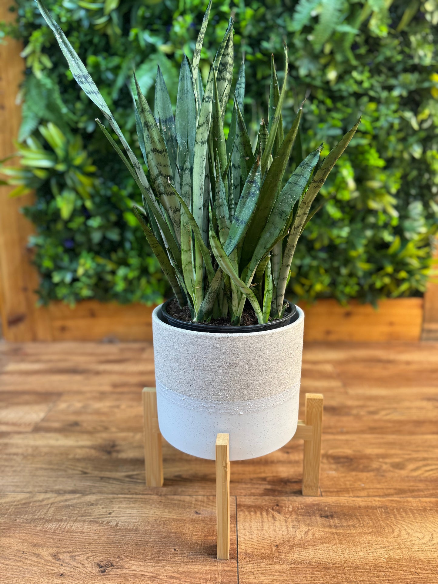 Calvia Pot with Stand