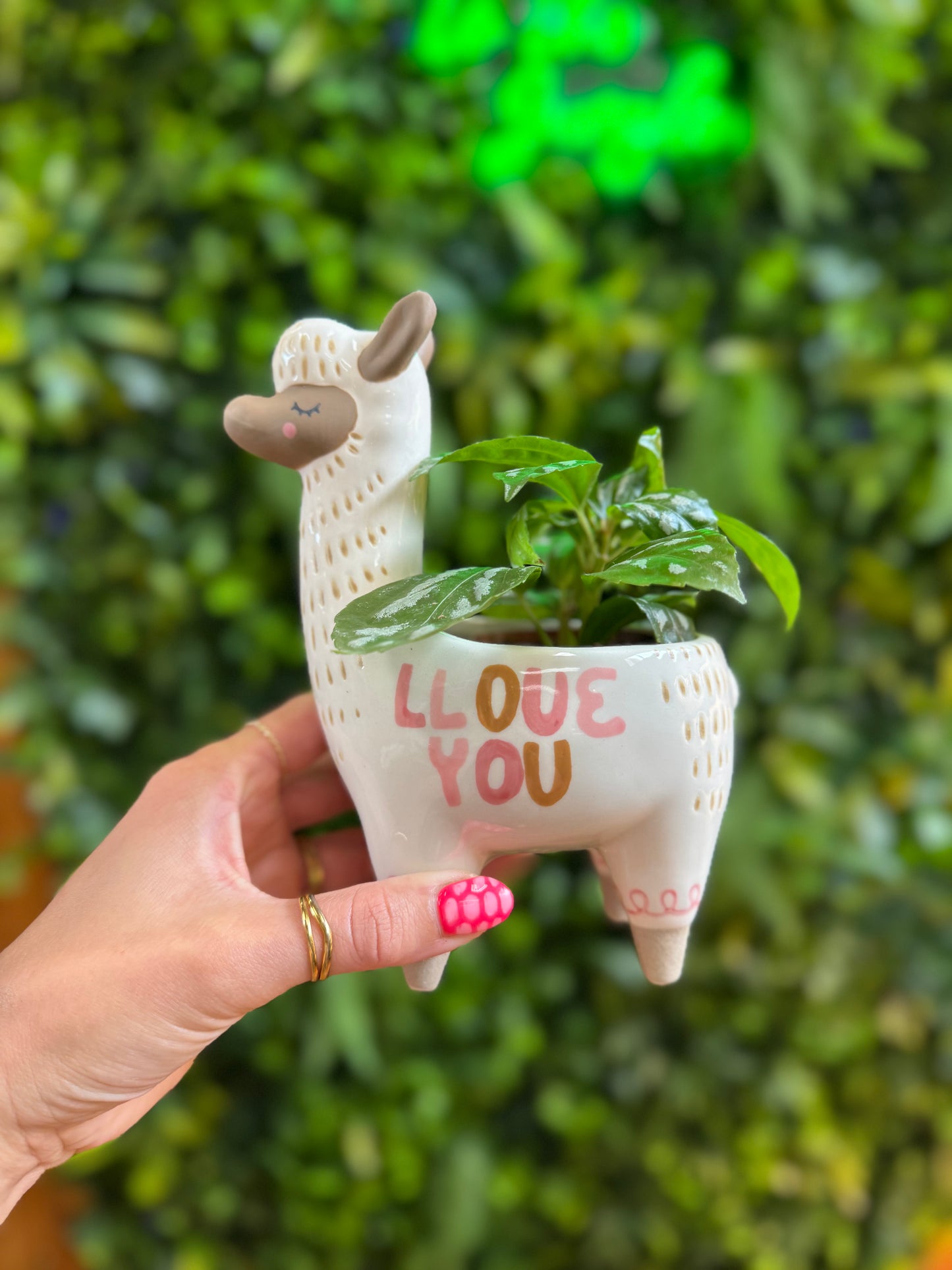 Fuzzy Feelings Llama Pot