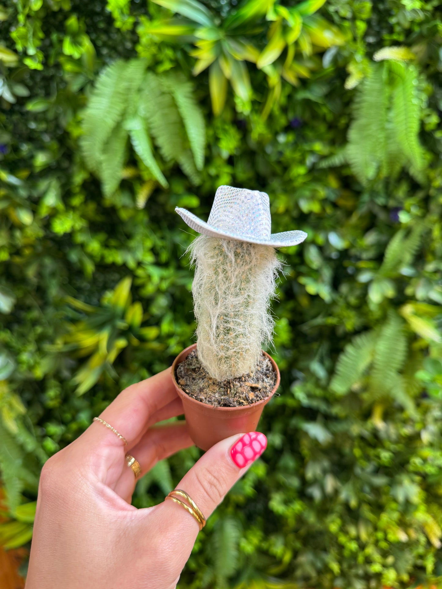 Mini Hats