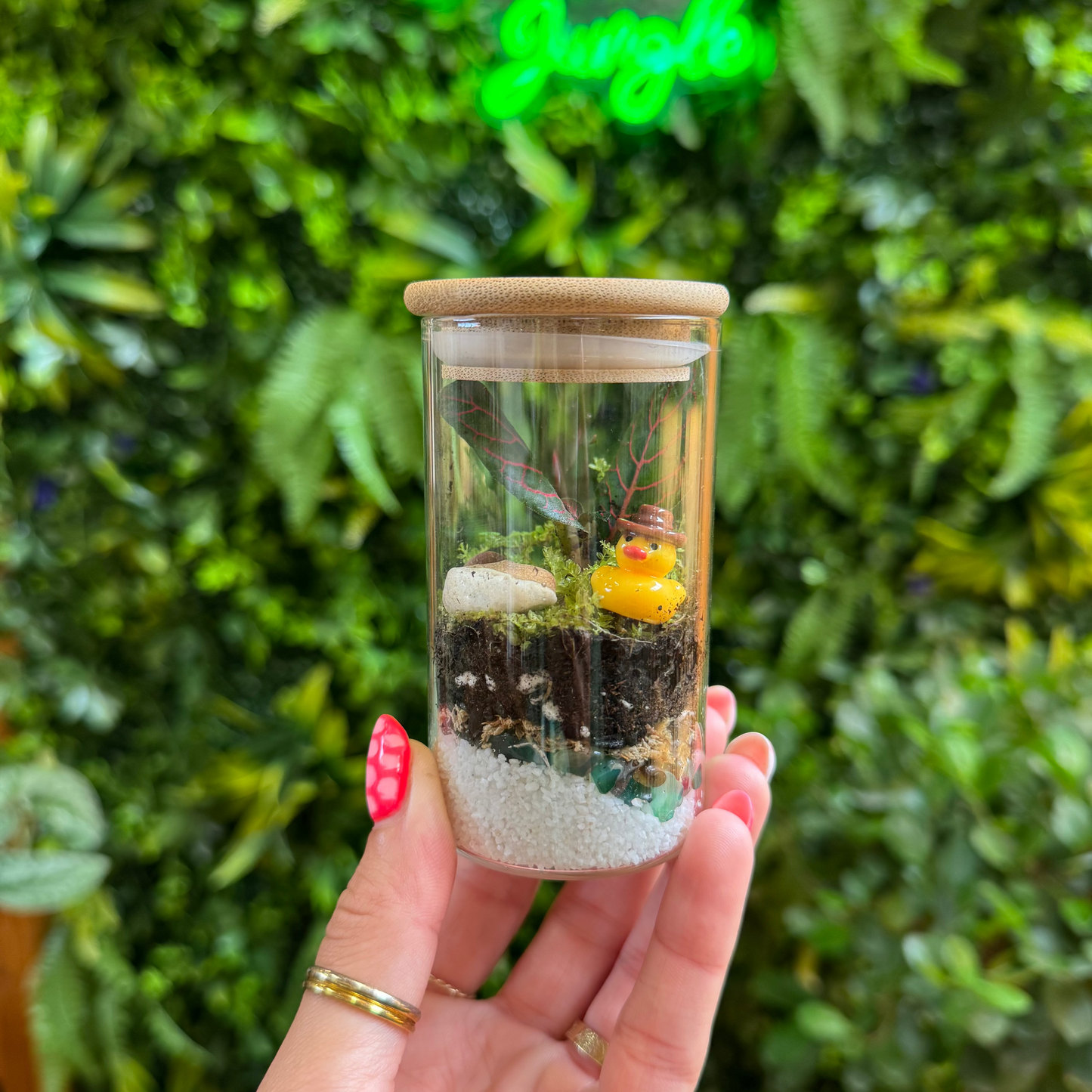 Hand holding a small terrarium with a green plant against a blurred green background