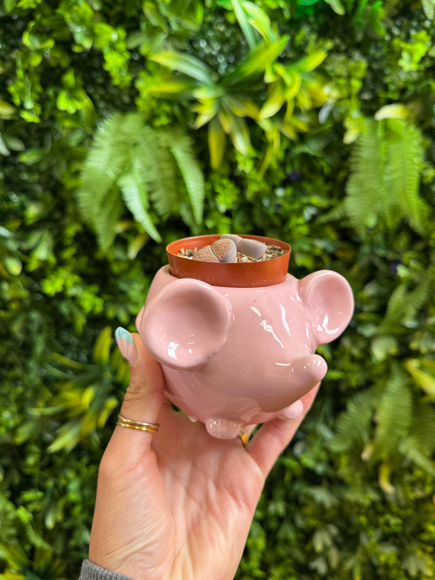 Mouse Ceramic Pot