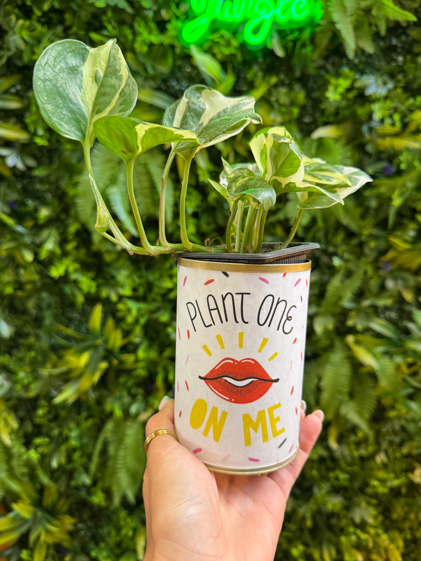 Punny Can - Plant One