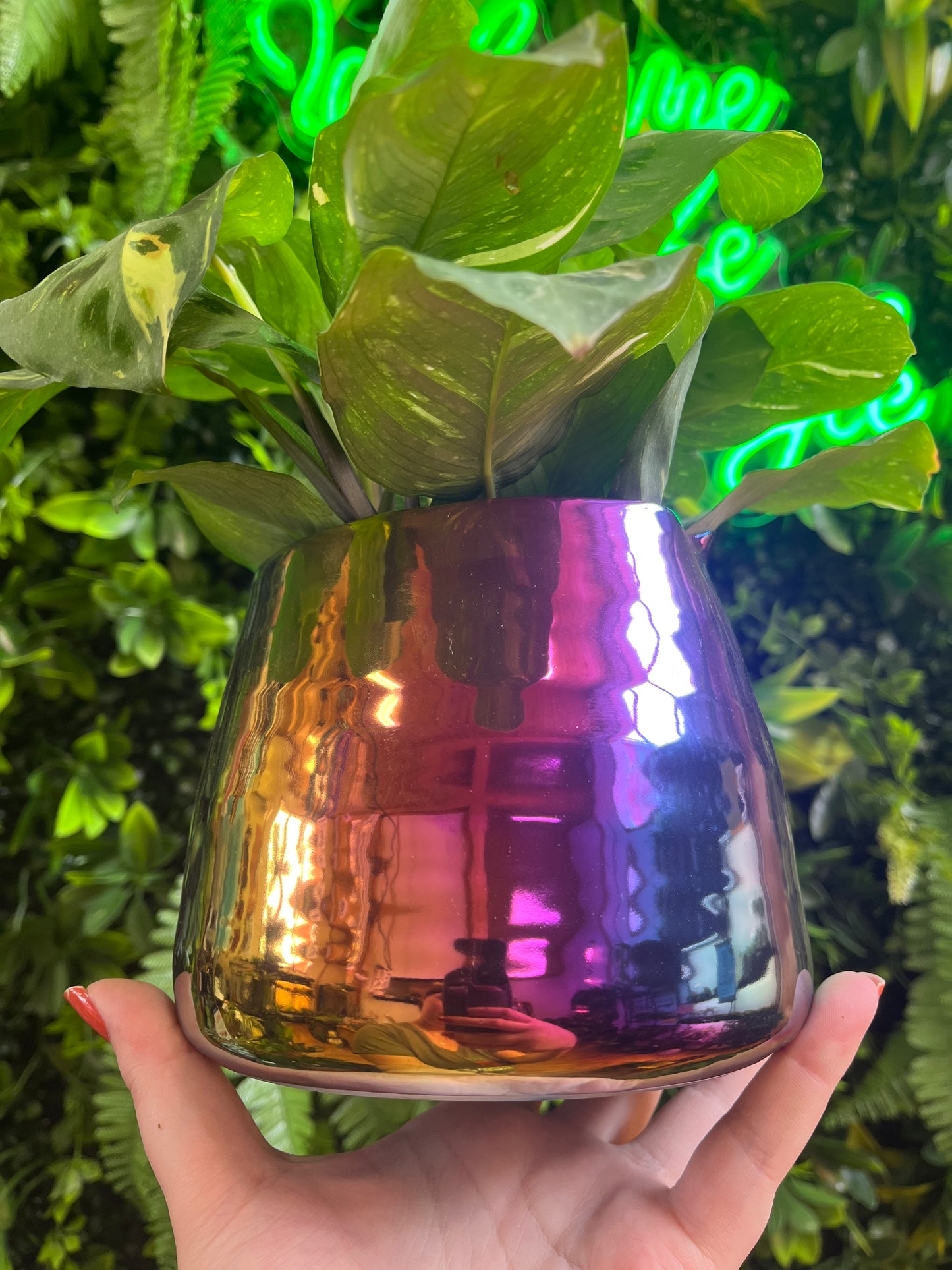 Tegan Pots - Iridecent