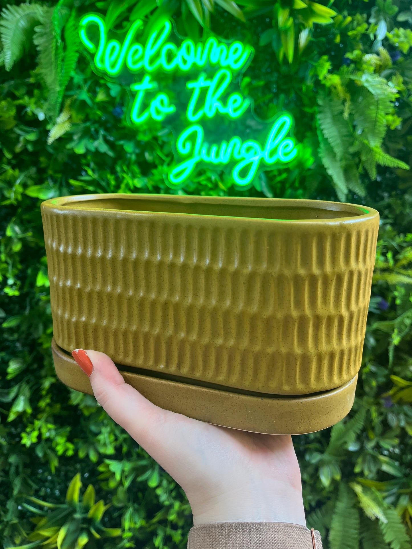 Zelle Planter with Saucer