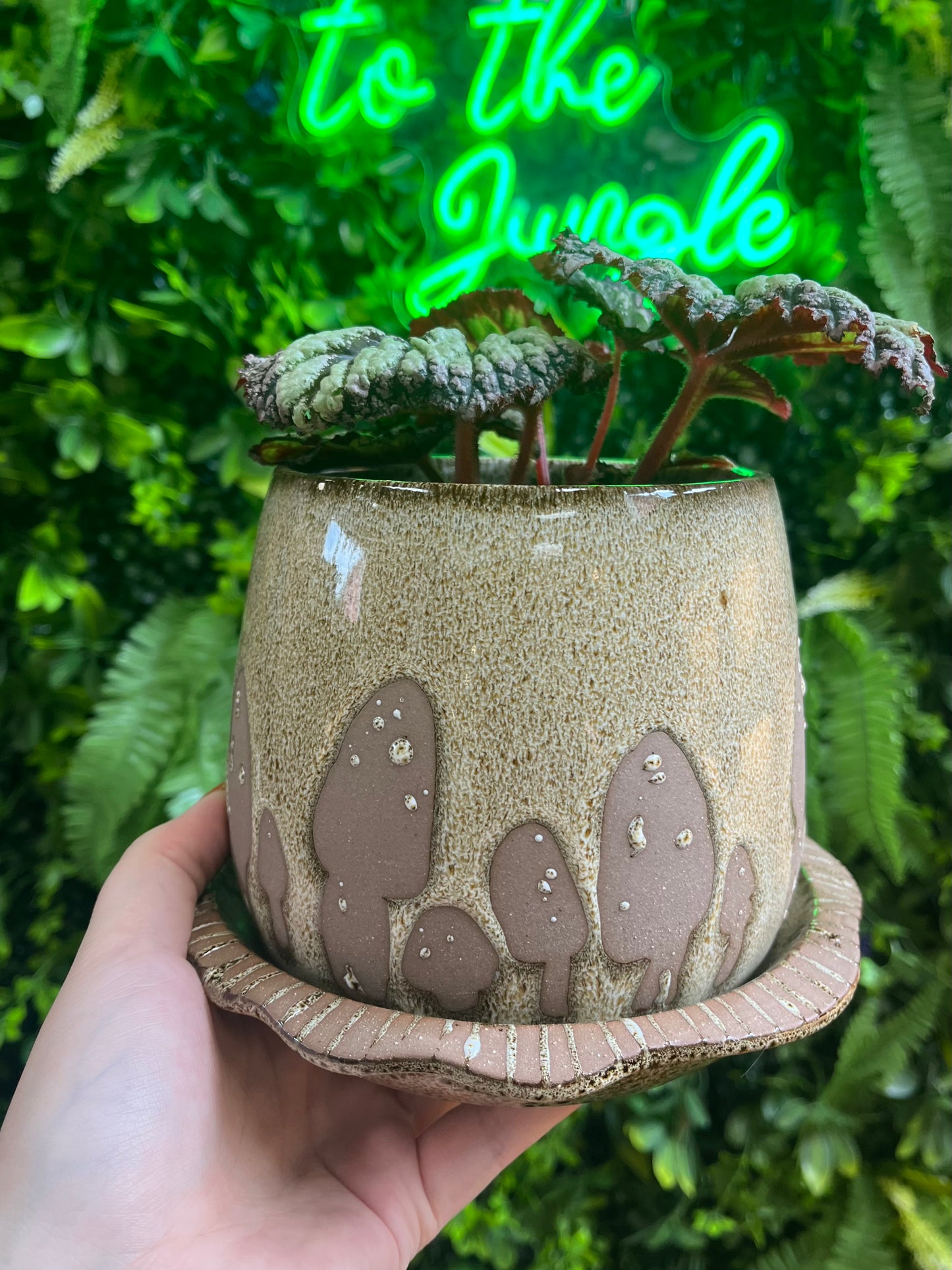 Wild Mushroom Pot with Saucer