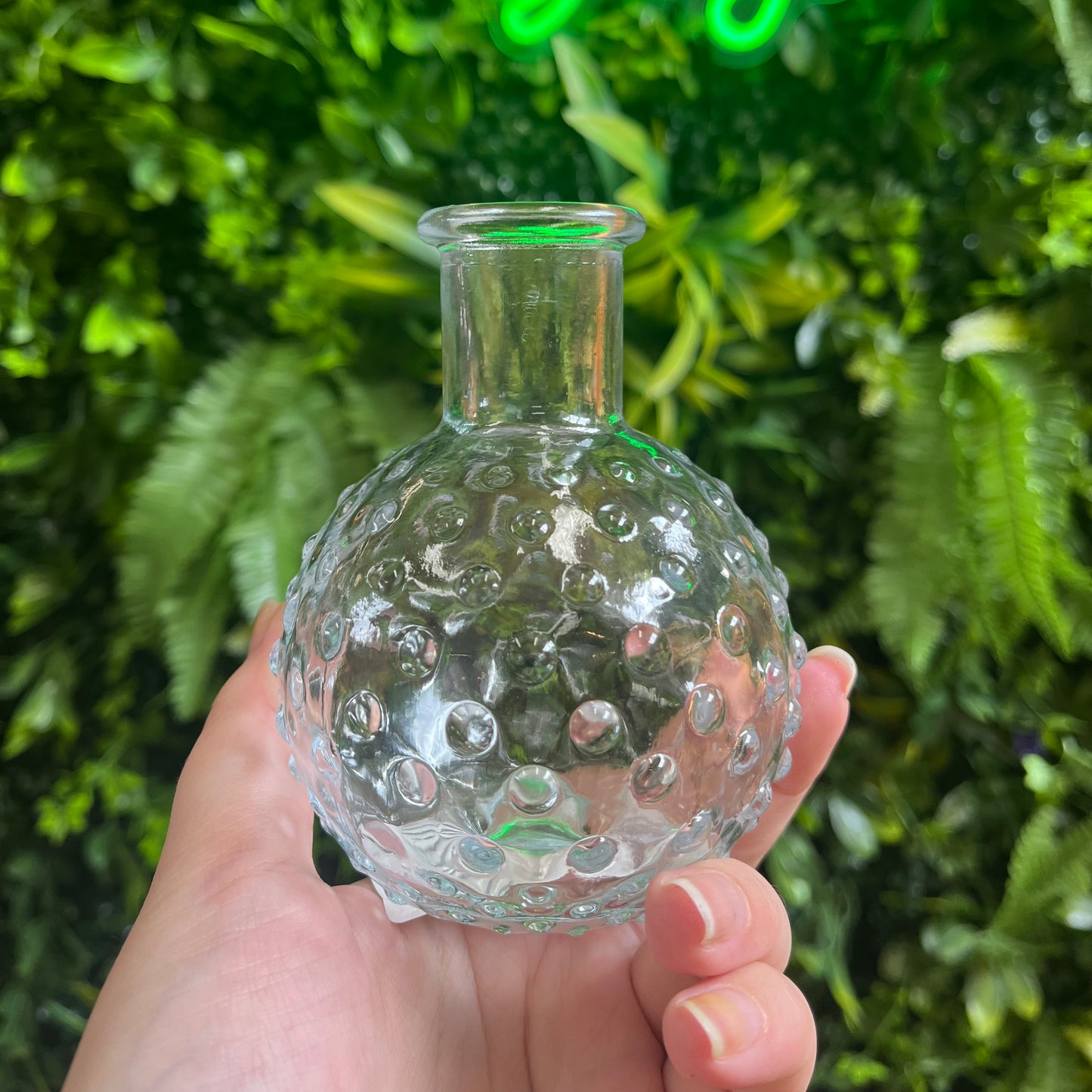 Bumpy Glass Propagation Bottles