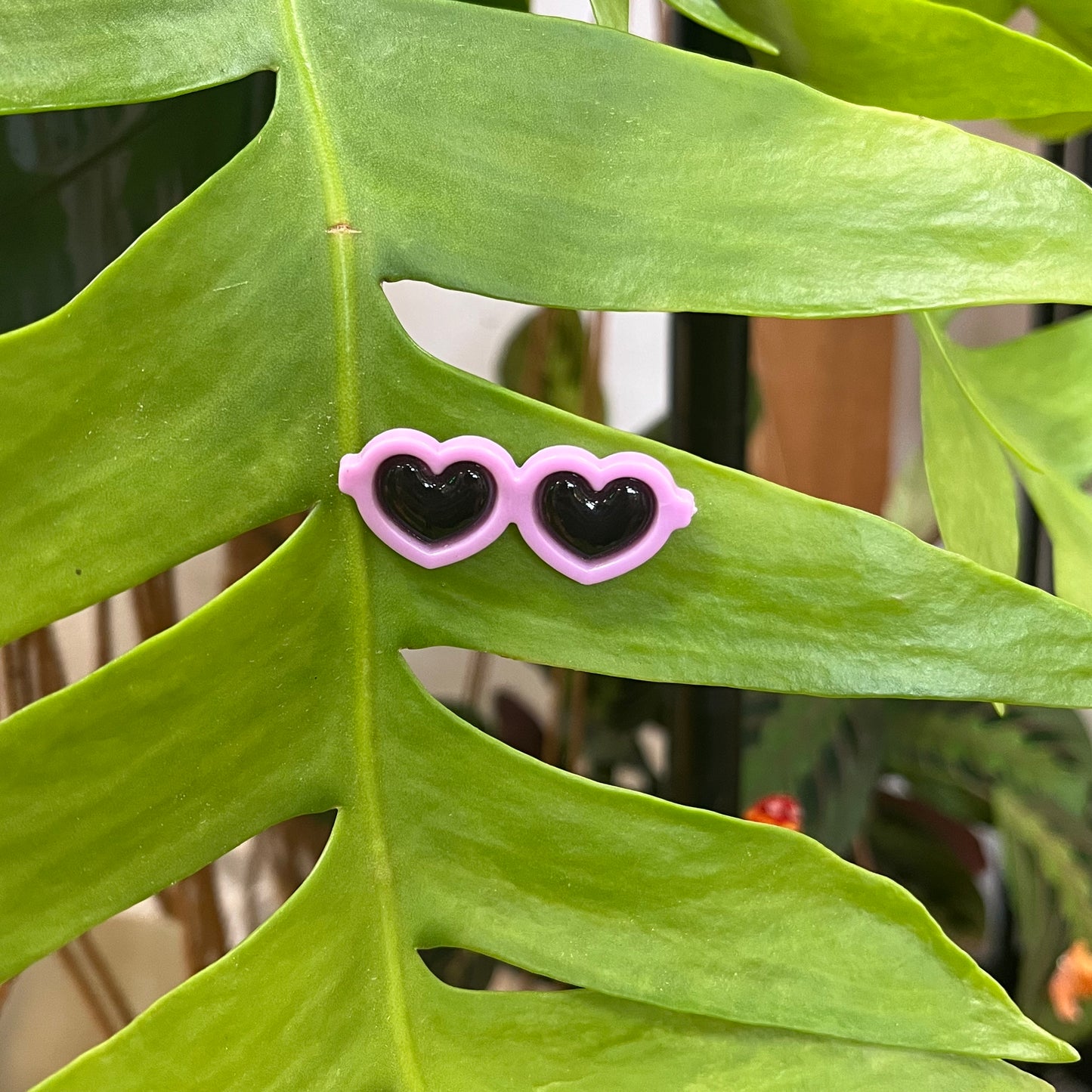 Sunglasses Plant Magnet - Assorted Colors