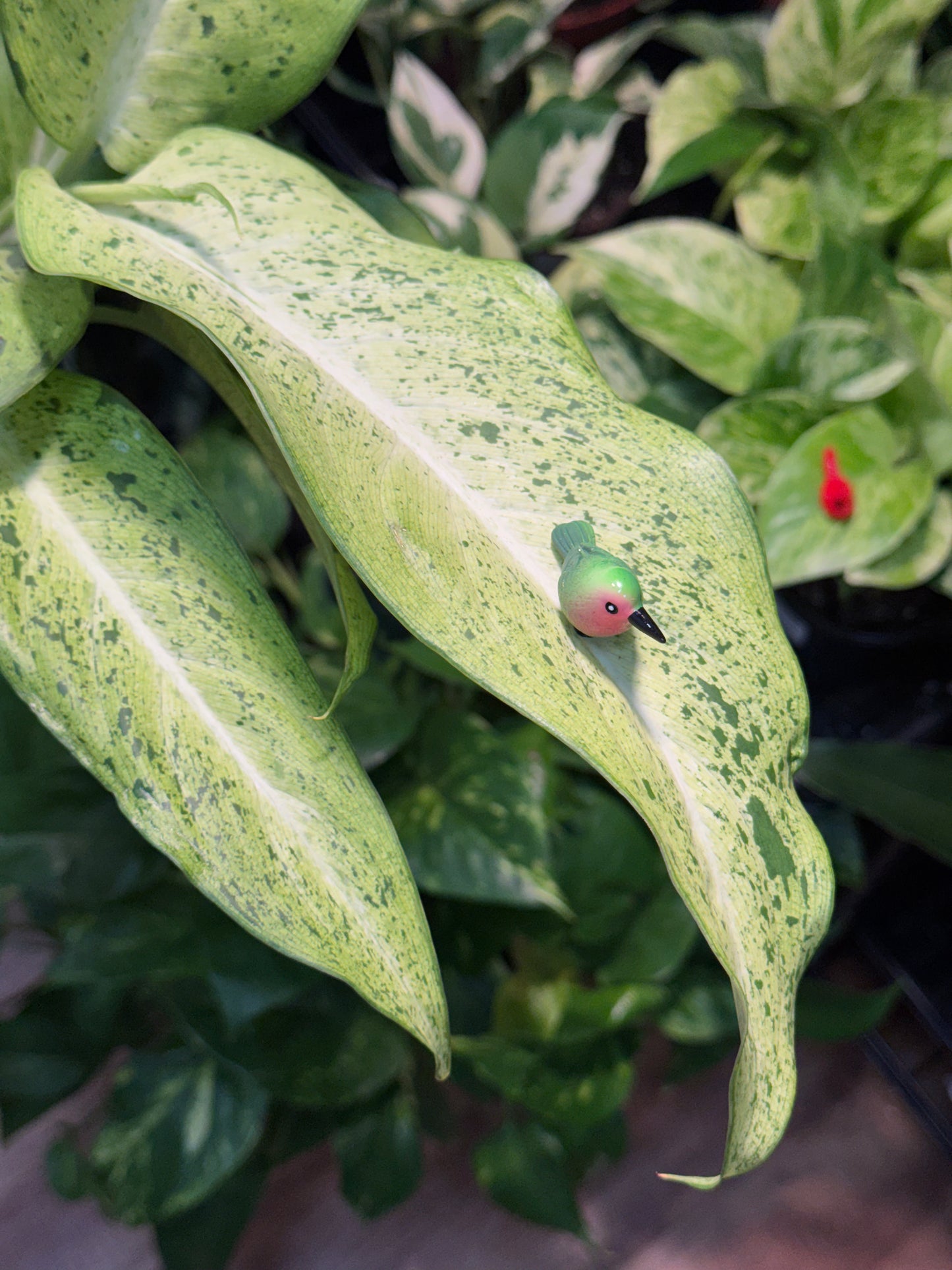 Green & Red Ruby-Throated Hummingbird Plant Magnet