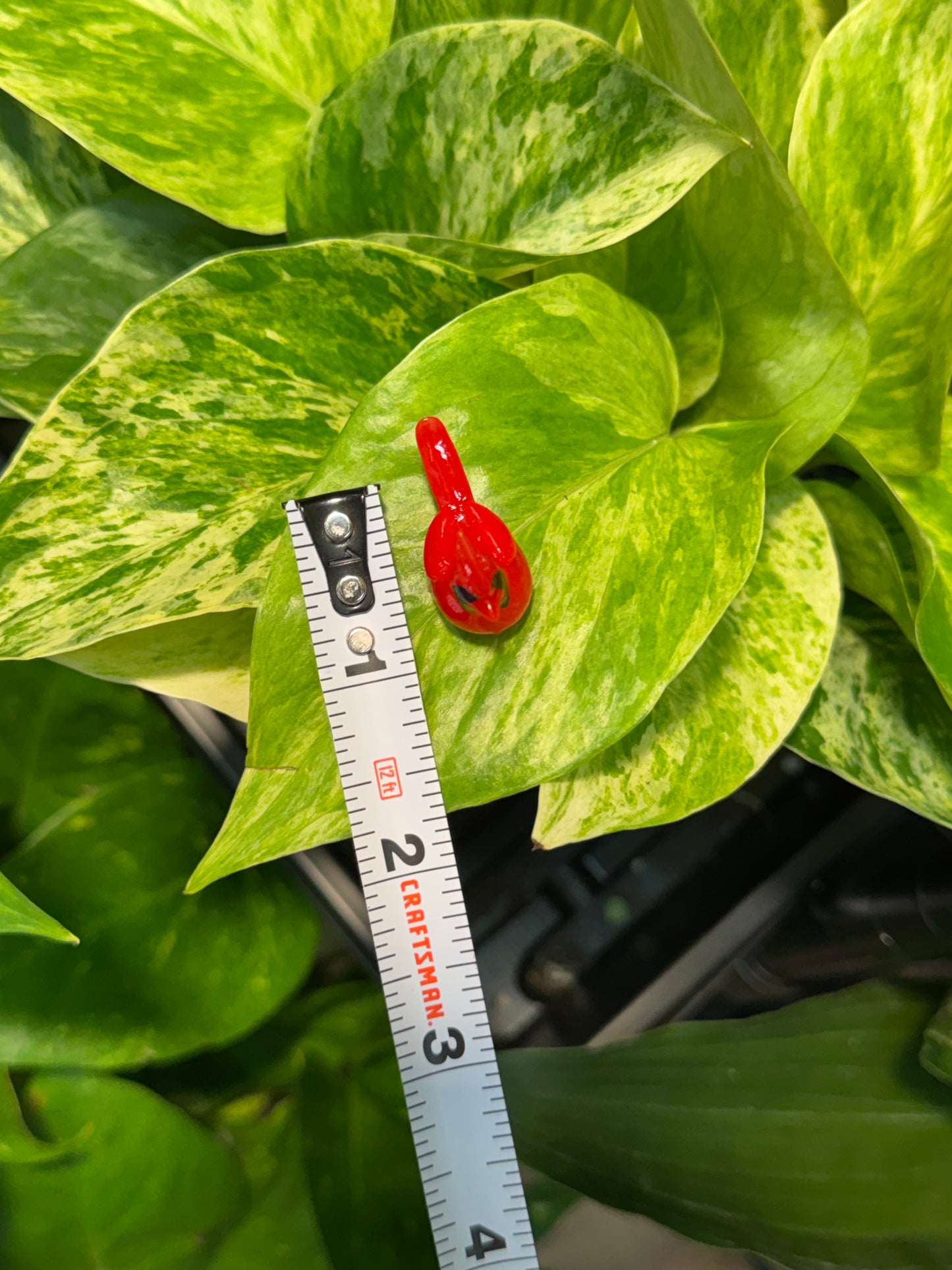 Red Cardinal Plant Magnet