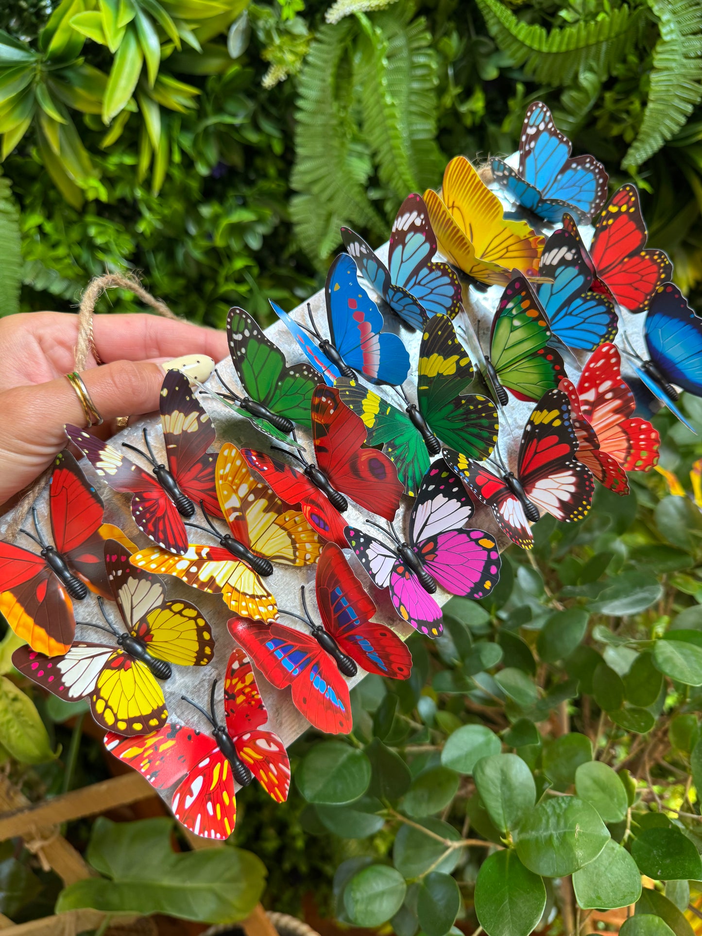 Medium 3D Butterfly Plant Magnet - Assorted Colors