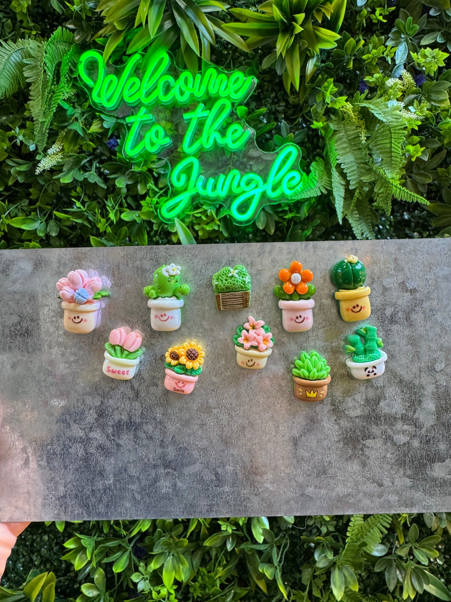 Cheery Plant Pot Plant Magnet - Assorted