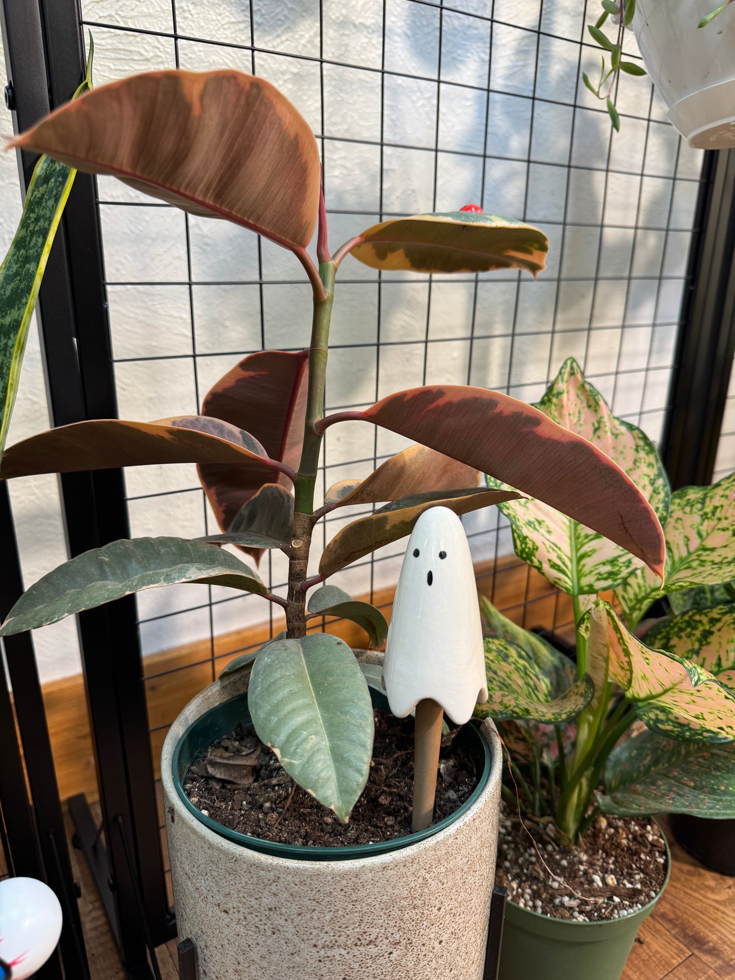 Casper Plant Stick 1.5" x 7"