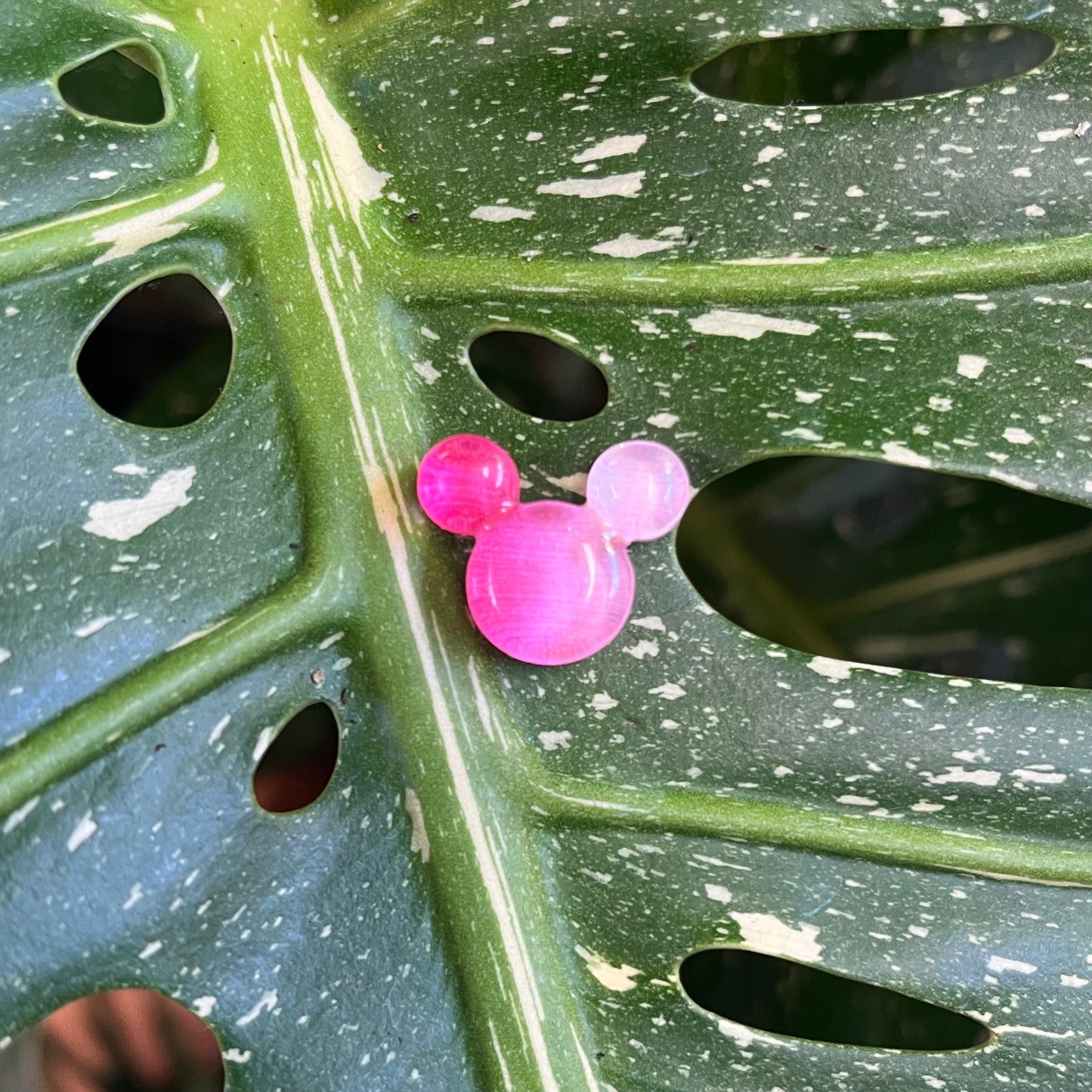 Bear/Mickey Head Plant Magnet