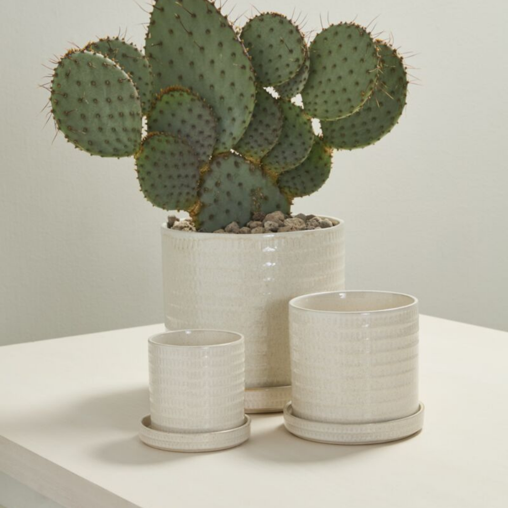 Morse Pot with Saucer