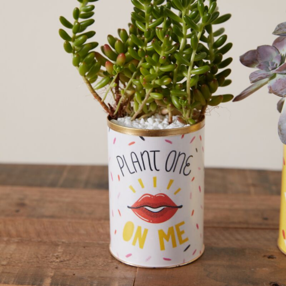 Punny Can - Plant One