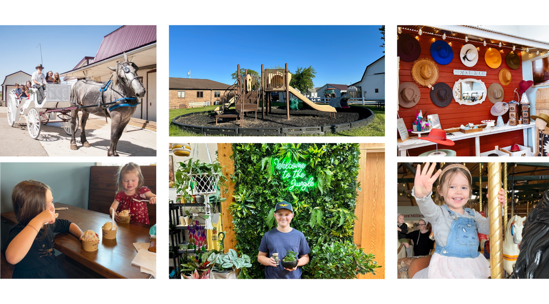 Top 10 Things to Do in Shipshewana with Kids - 2026