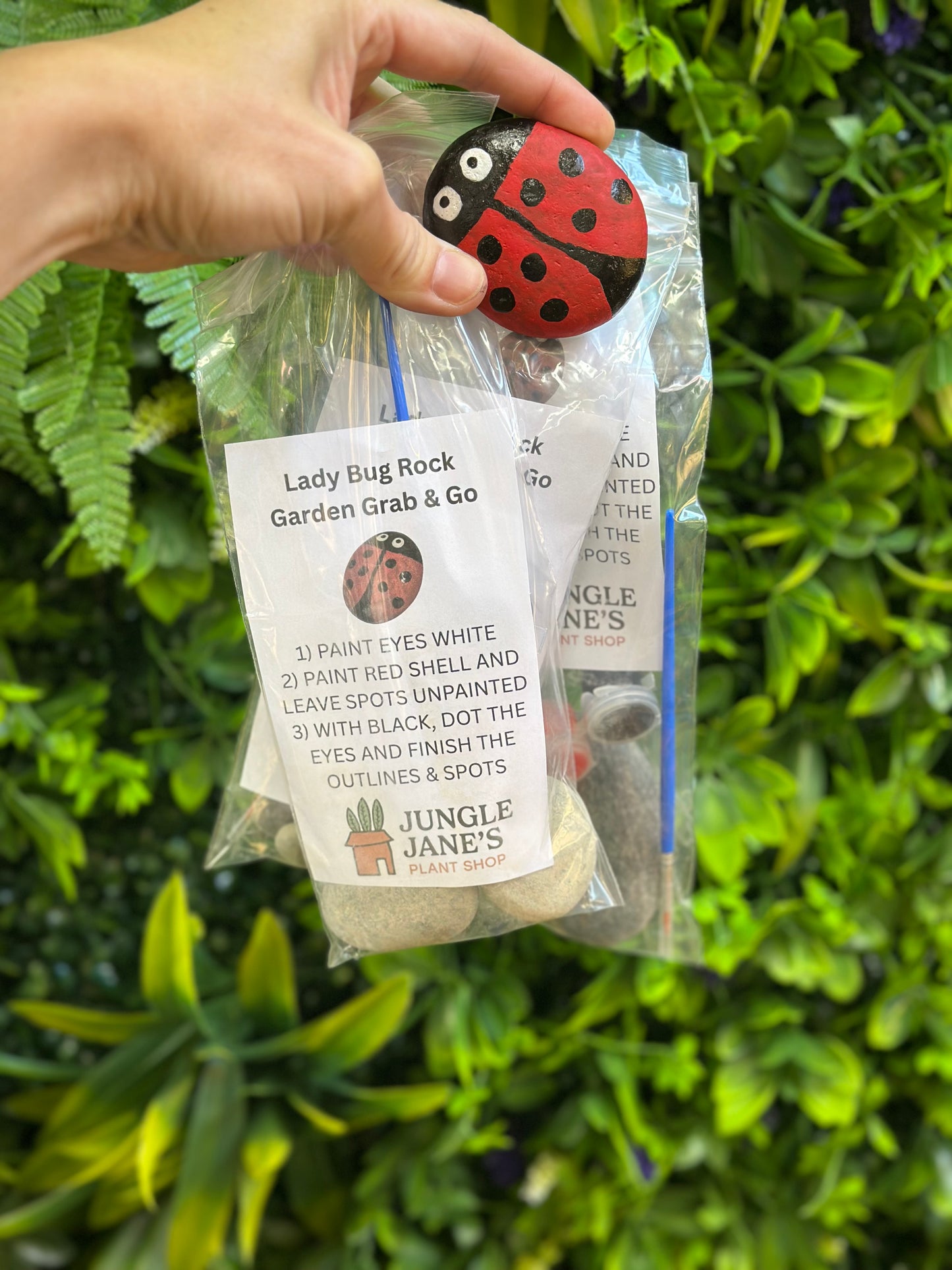 Grab And Go Garden Rock Kits