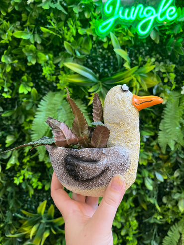 Gulliver the Seagull - Blobhouse Planter