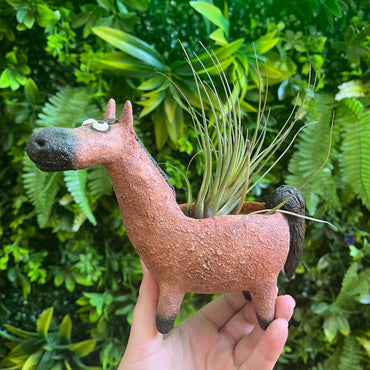Big Red the Bay Horse -  Blobhouse Planter