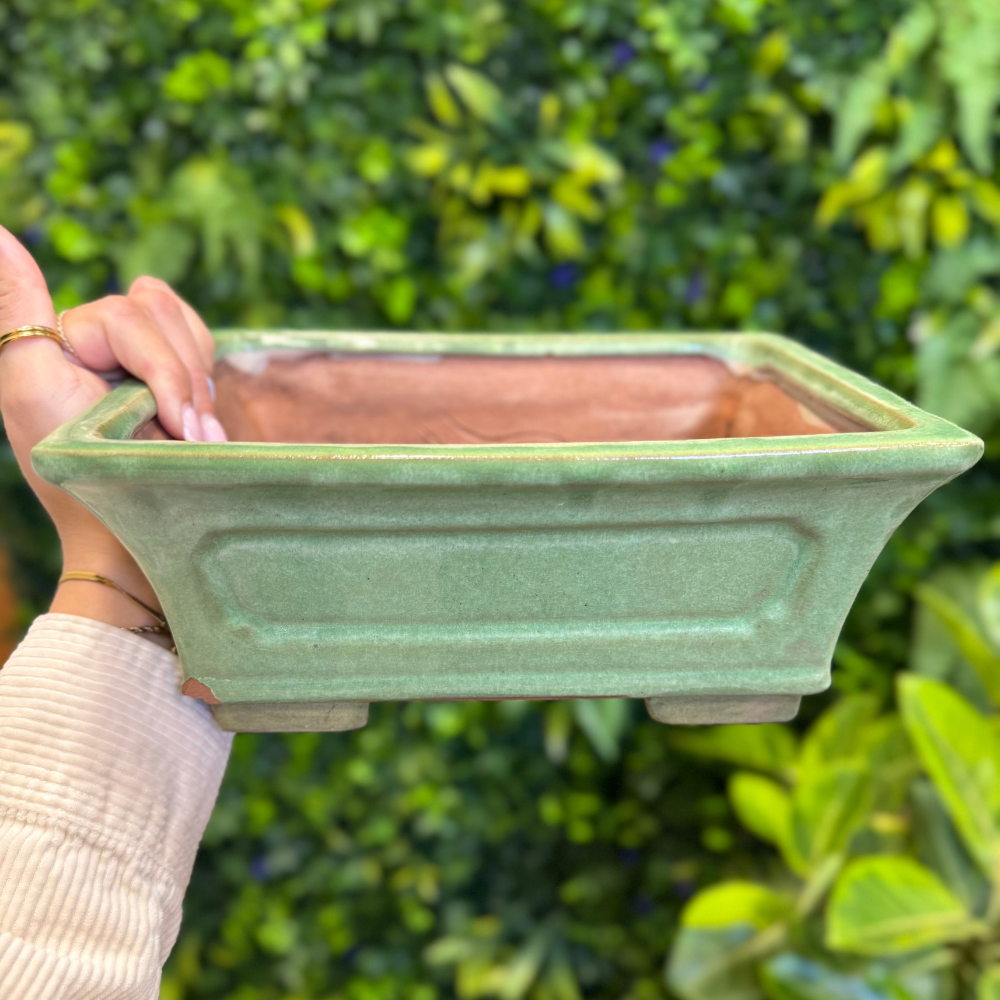 Gently Used Pots