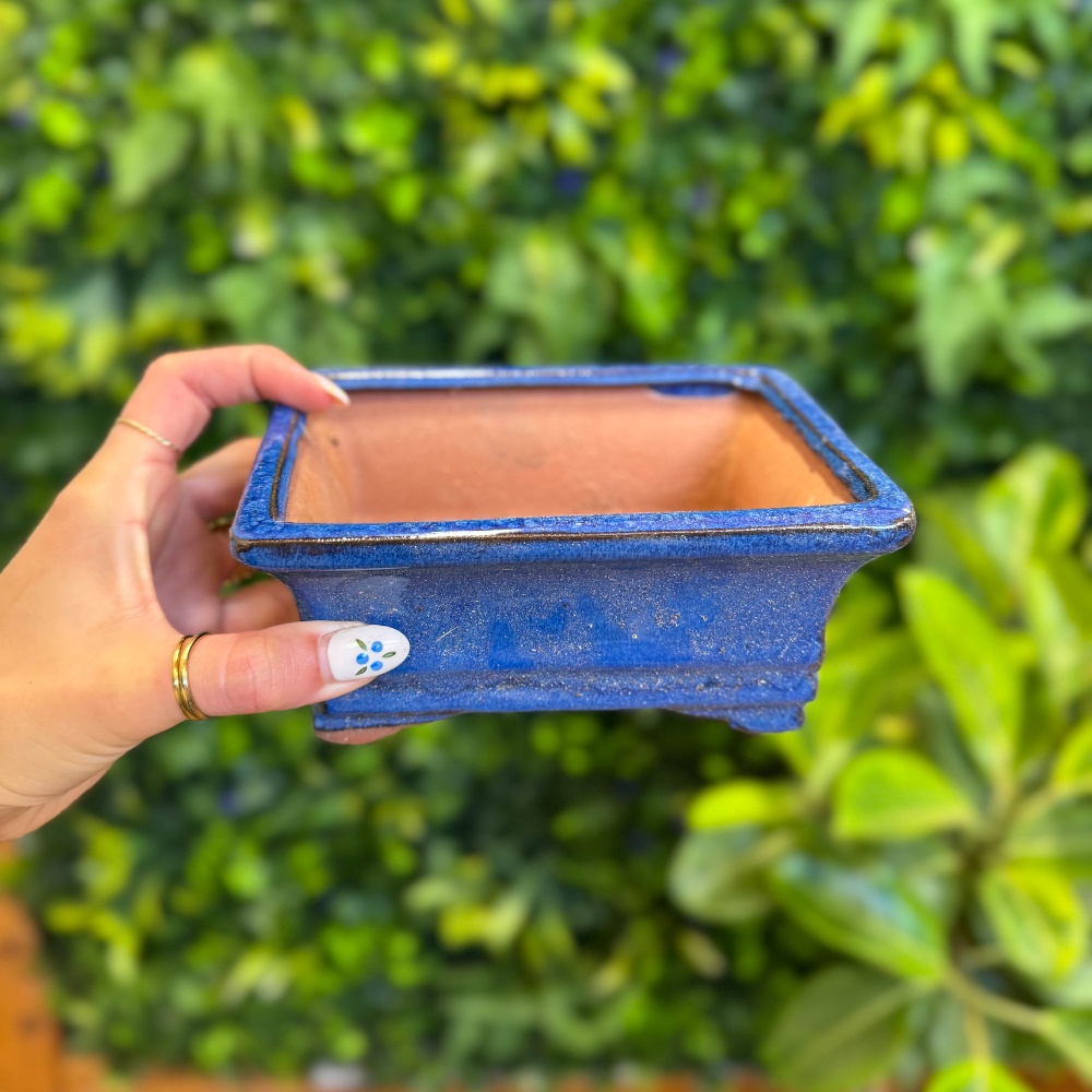 Gently Used Pots