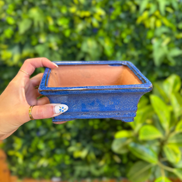 Gently Used Pots