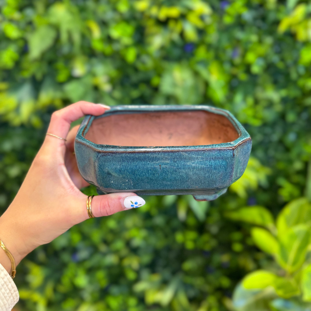 Gently Used Pots