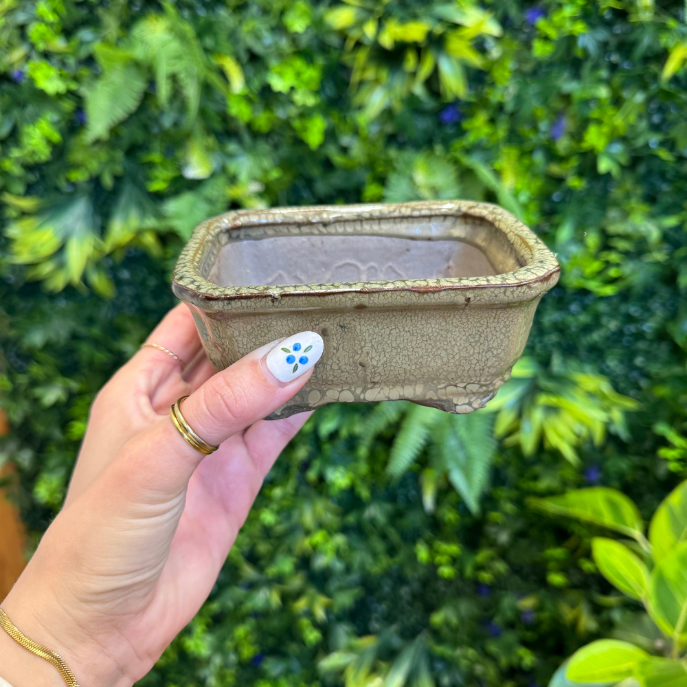 Gently Used Pots