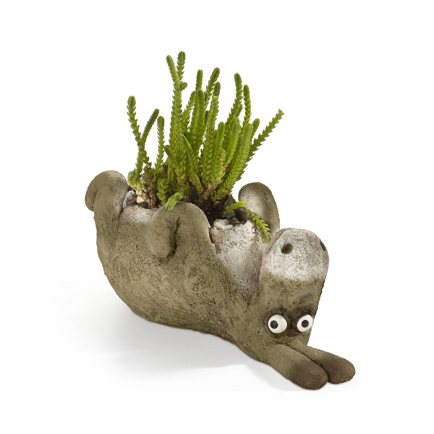 Chester the Donkey - Blobhouse Planter