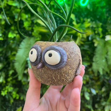 Olive the Baby Yellow Owl - Mini Blobhouse Planter