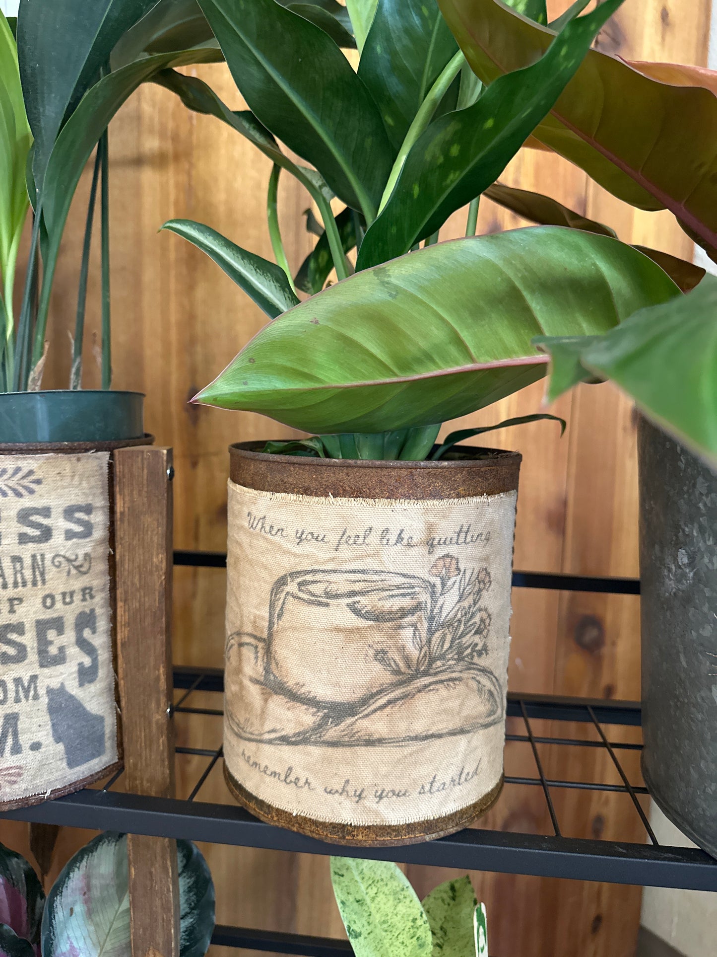 Feel like quitting rust bucket pot 6” opening