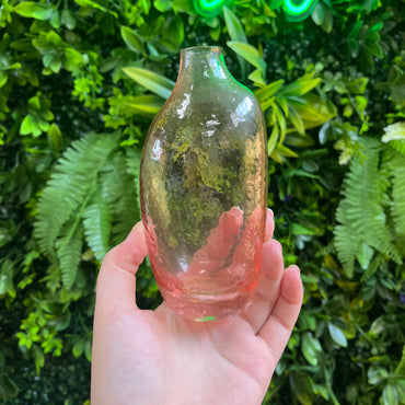 Pink Glass Propagation Vase