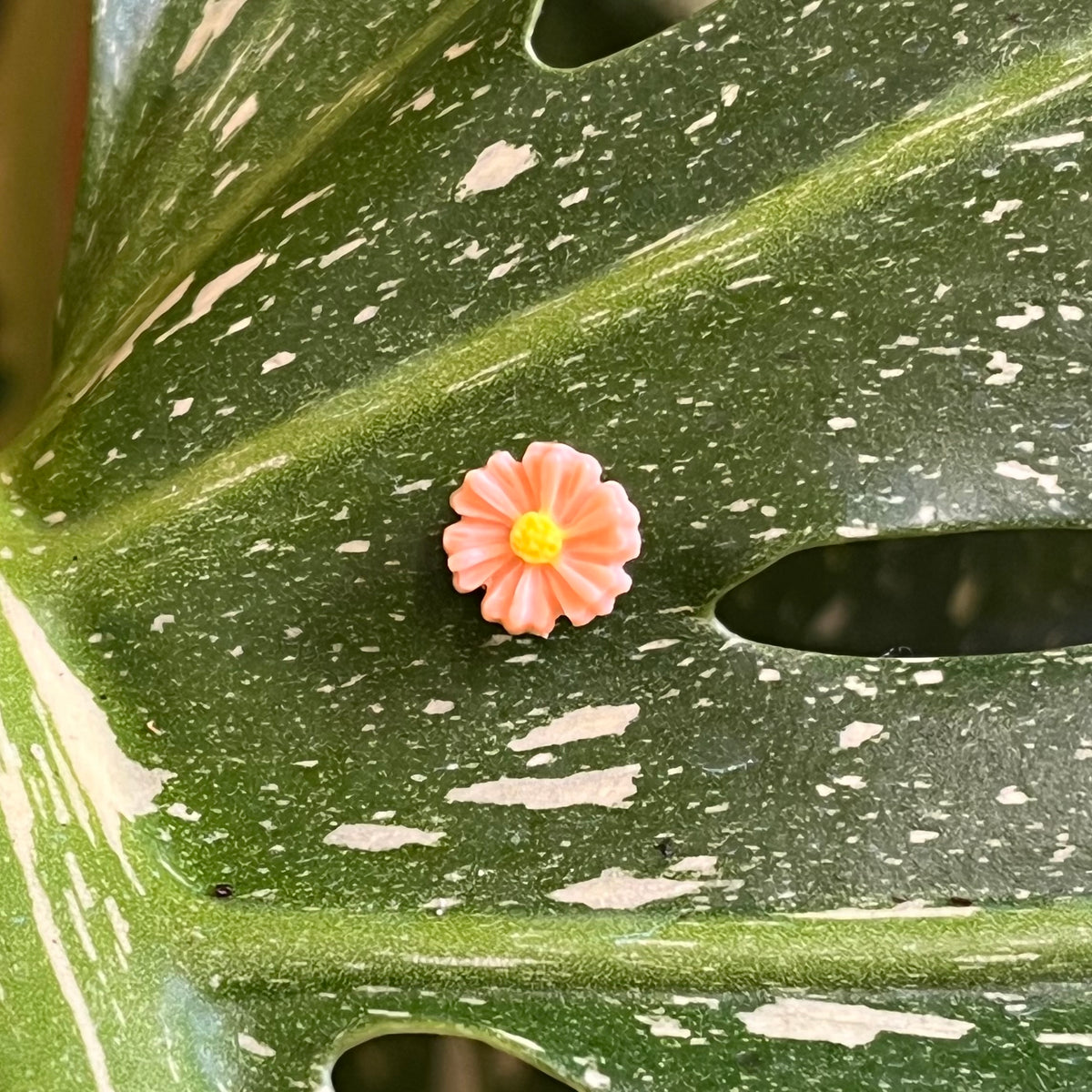 Flower Plant Magnet