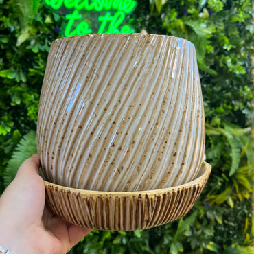 Carved Pot with Saucer