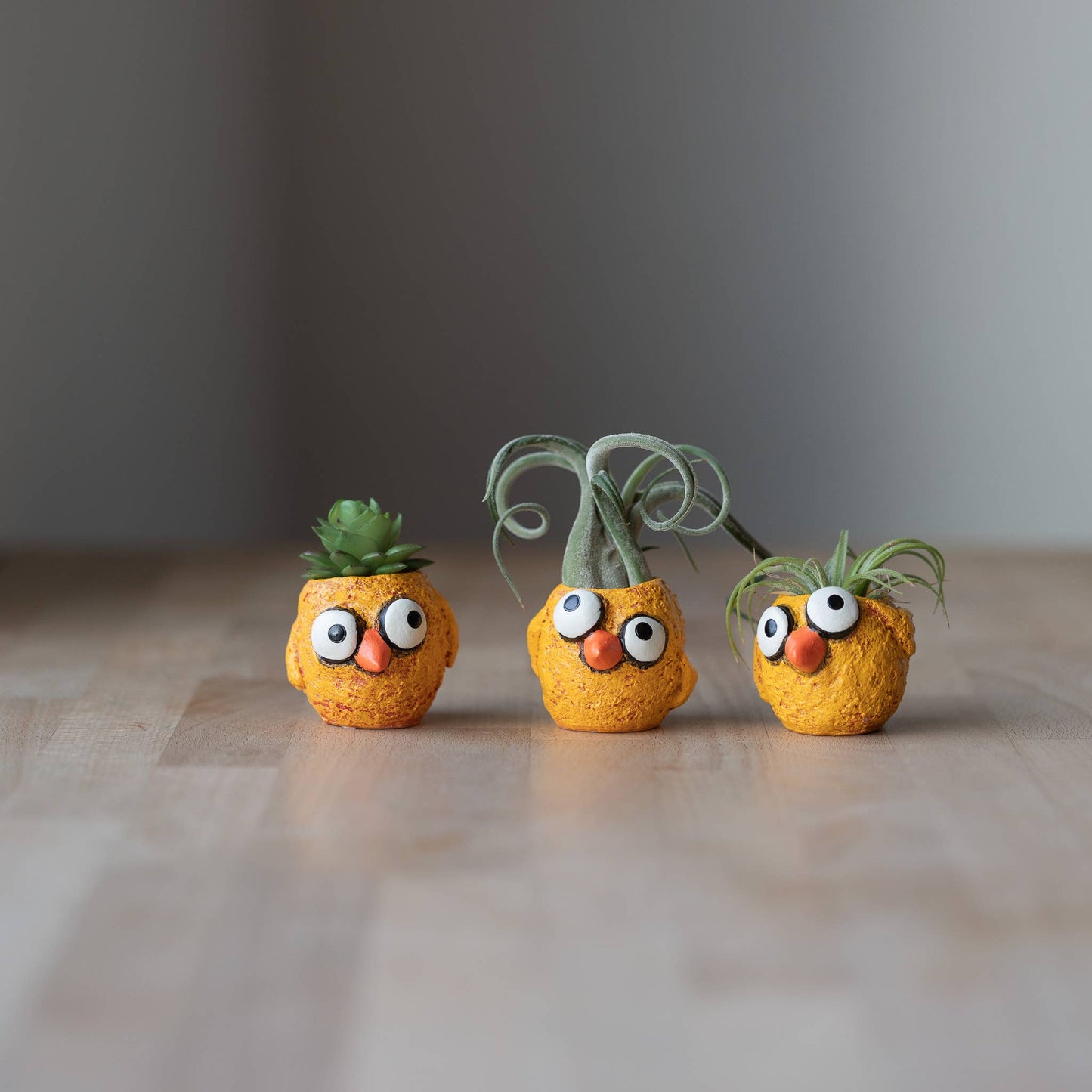 The Chickies - Blobhouse Planters