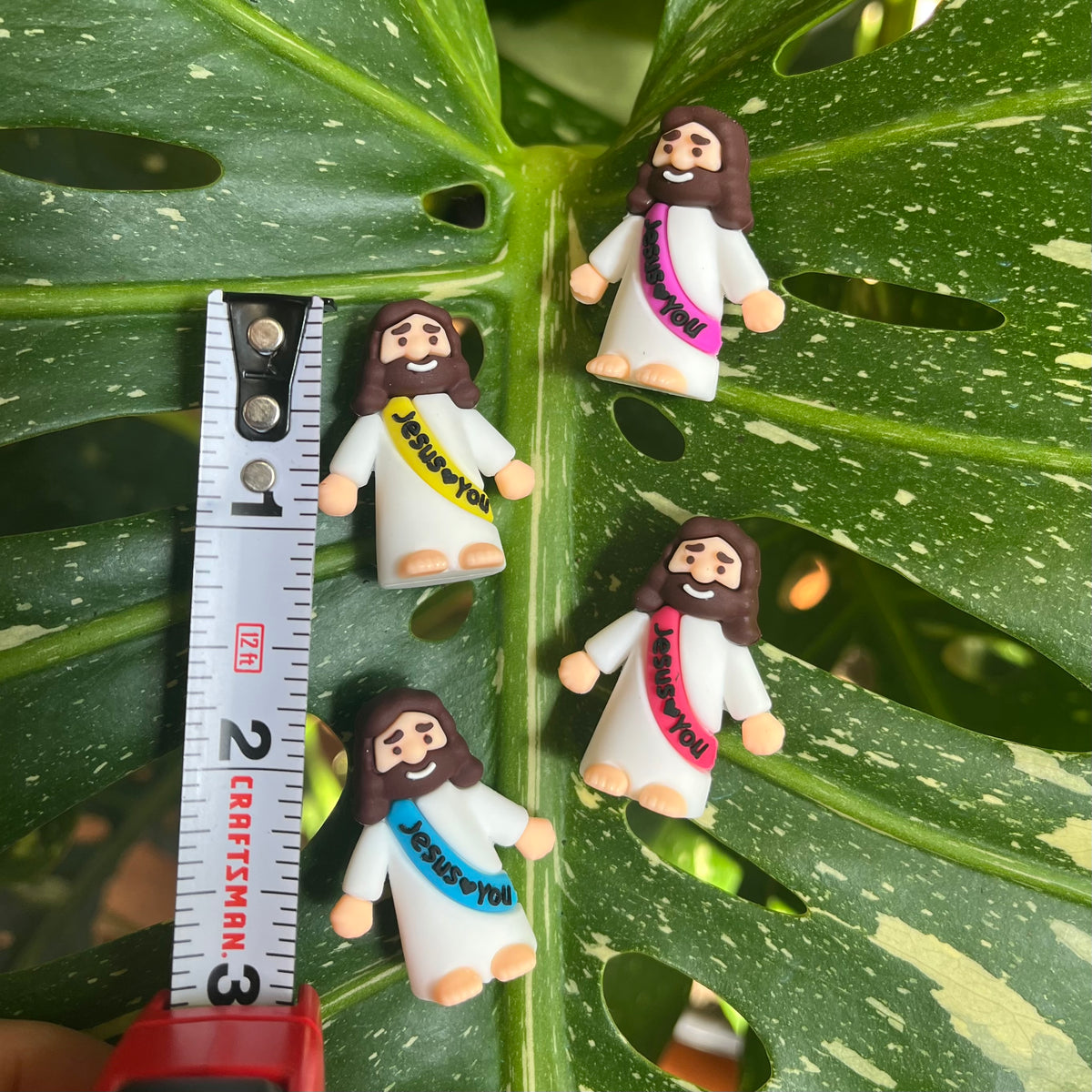 Mini Jesus Plant Magnet