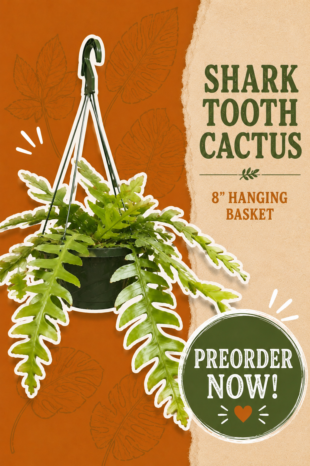 PREORDER: 8” Shark Tooth Hanging Basket