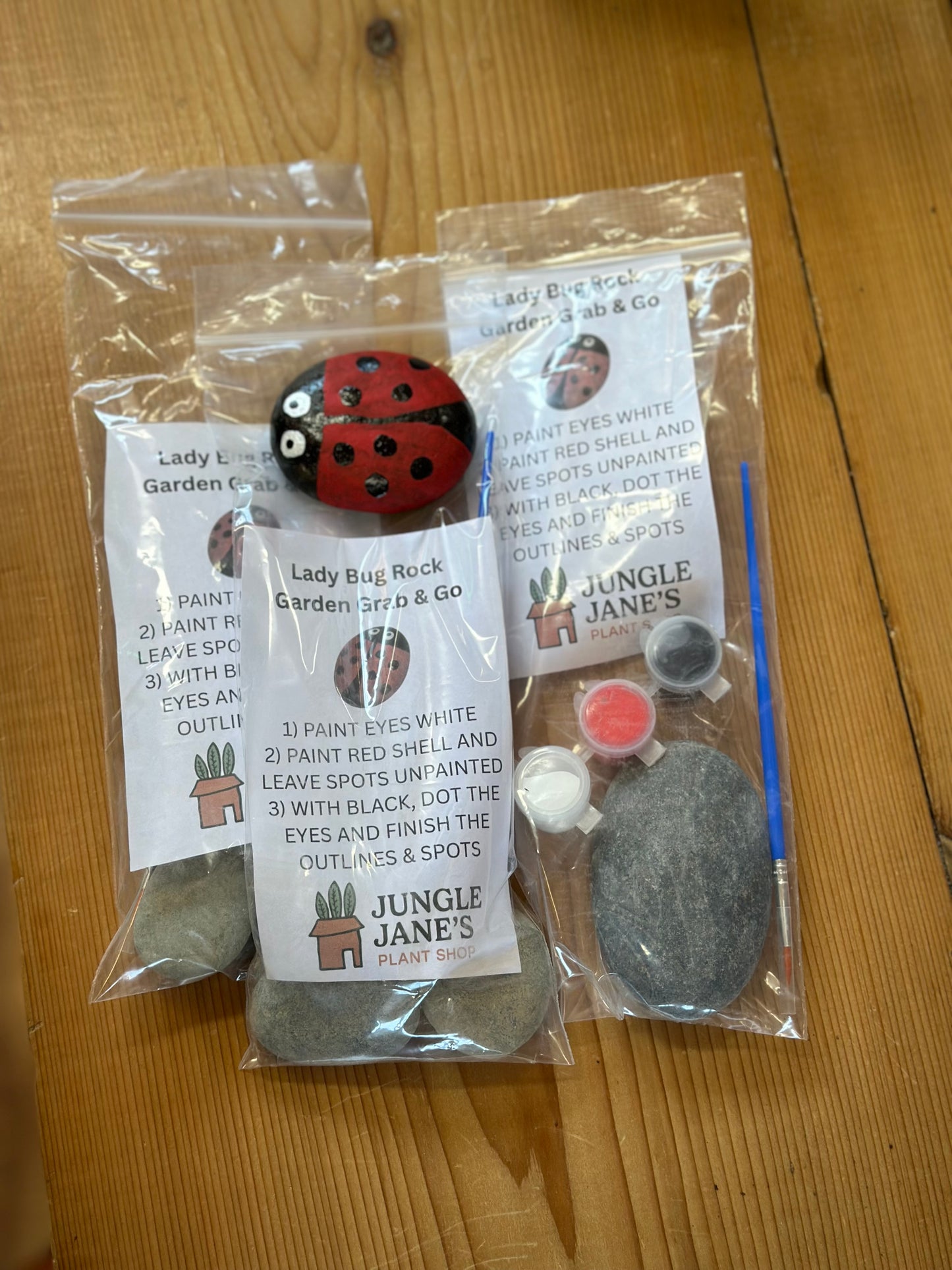 Grab And Go Garden Rock Kits