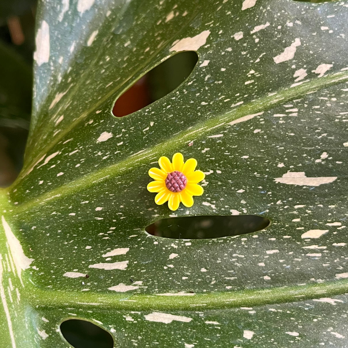 Flower Plant Magnet