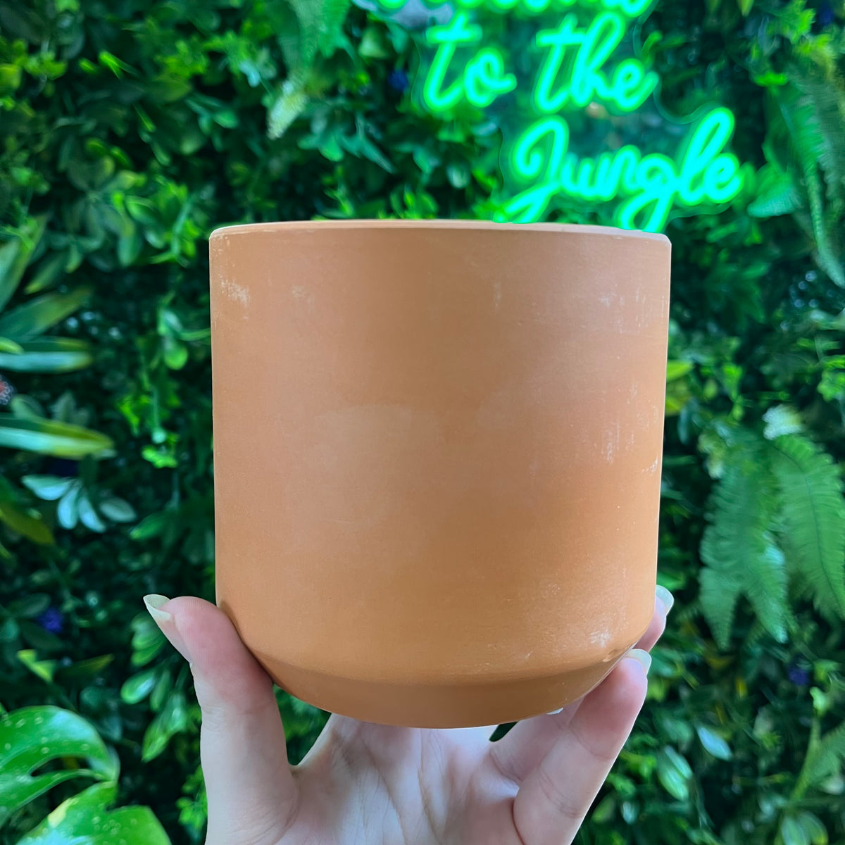 Kendall Terracotta Pot