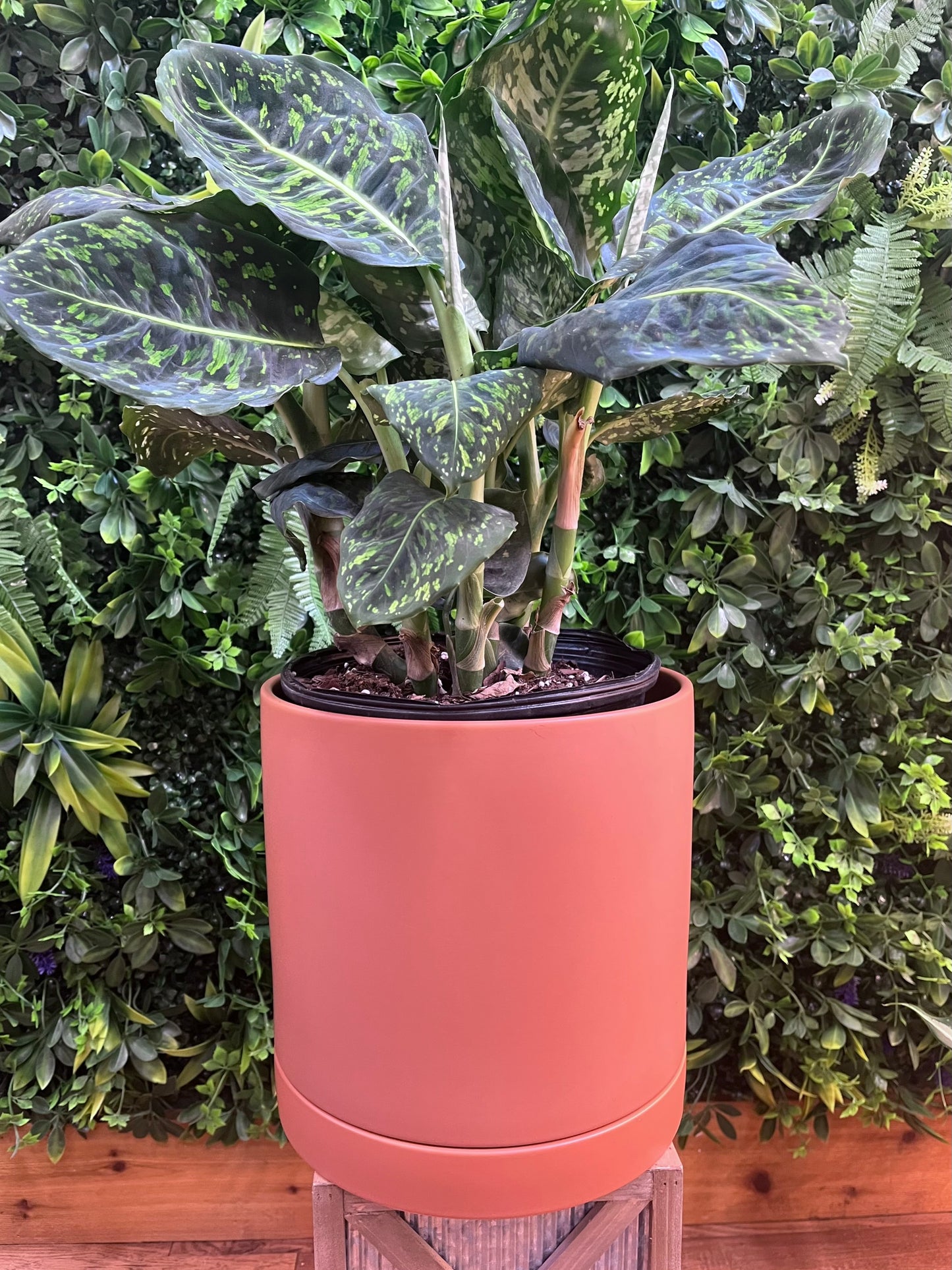 Romey Pot with Saucer -  Terracotta