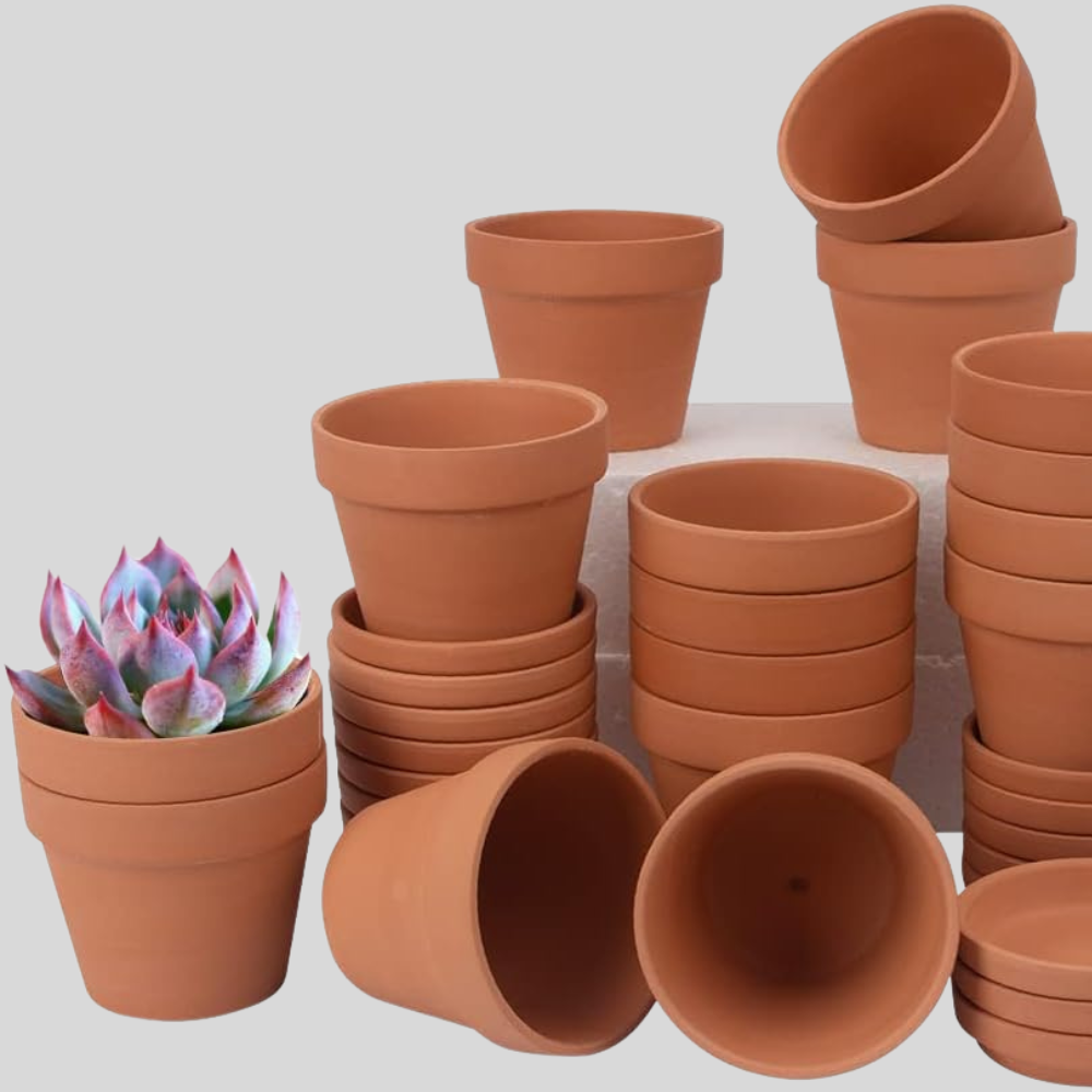 Terracotta Pot - 4"