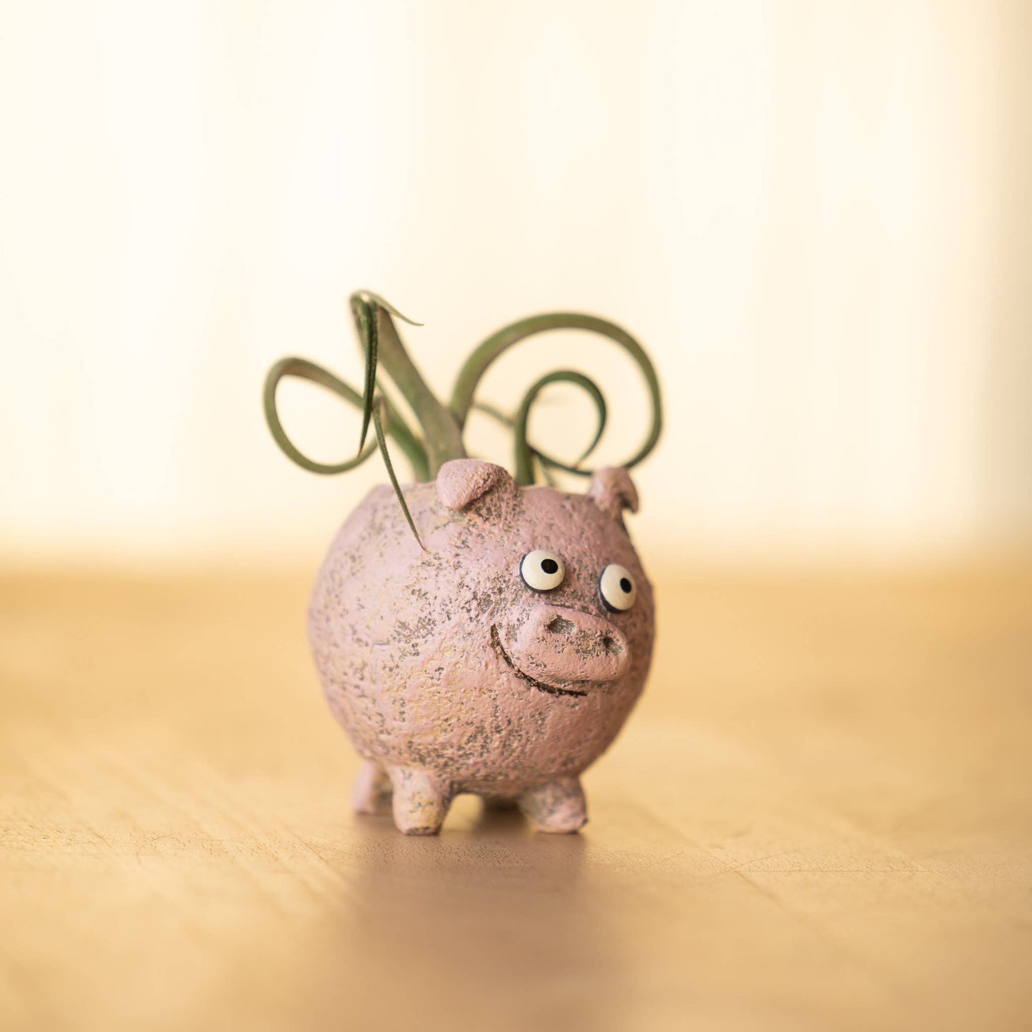 Henrietta the Pig - Blobhouse Planter
