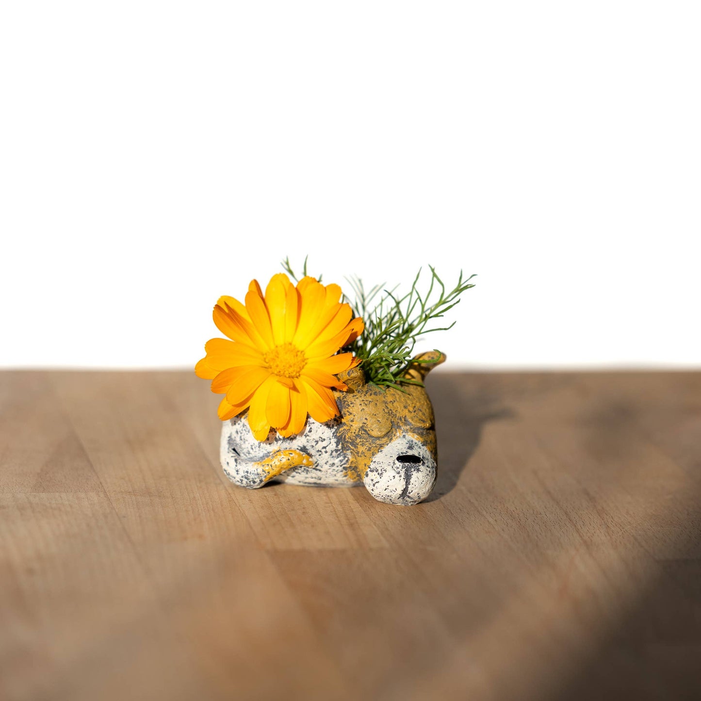 Luna the Dog - Mini Blobhouse Planter