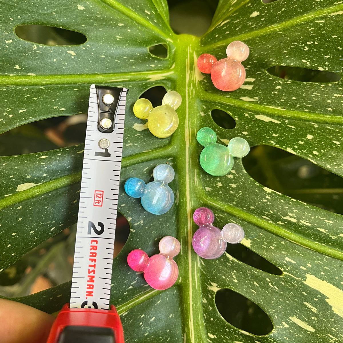 Bear/Mickey Head Plant Magnet