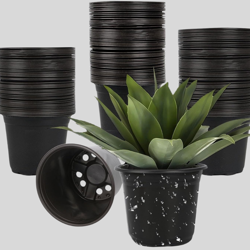 Nursery Pot - 5"
